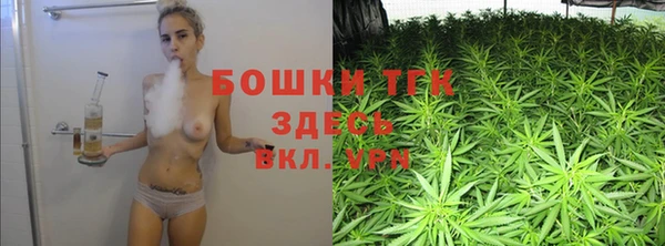ГАЛЛЮЦИНОГЕННЫЕ ГРИБЫ Арсеньев